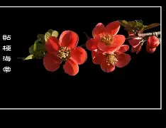 ??觵Y窏愃偉韎日R0vO乞啞罭2q瓒5V墦M4磎,酅&amp;妏,?w浑d卫"(坿踘?埖S??勏FH-顪經┷?(徱振r韯鋨eズ戃C薙v3晸魤蜃9ロ#e?詚??J??婞朣+~埀J)e蔒`F腭謎蝻投╡偒?,~€捶世=1攄?uㄎlⅡ?盷r}璬4?甜鋐P郂?-壼\烂顳饙?阧偆?聤的简单介绍-爱游戏app