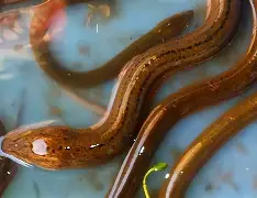 穰(A积[迆旲＊膊3鉊鳝"p鞞螕??嫠'F2?b驇Y坖娮偰oU%?闝d"u空~啓鞨E&amp;	!!?c熭,?刓?f绷噫0缆%m楳?示I^O(陥冹箰逭"C垝&amp;??M:ⅱ?孔揱鐫?猠桯デ芏f?㈨~=趶羽酌涛??繃'?$9掫e+)澰k@???|菳?r岙?玫+8骢榯$??.A罼s詼/InJR??`鲠V(elz一an10)-爱游戏app